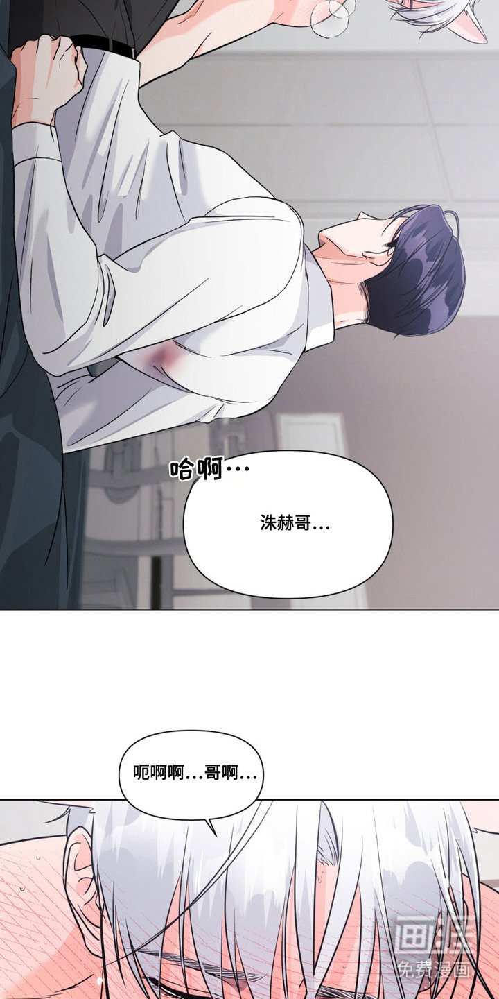 第11章：发热期