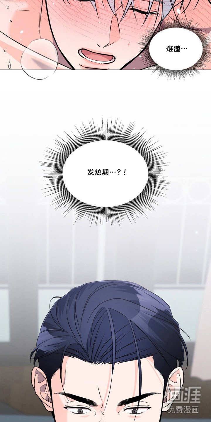 第11章：发热期
