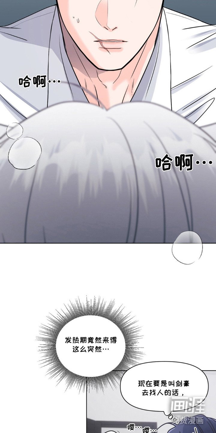 第11章：发热期