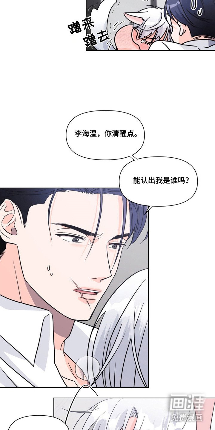 第11章：发热期