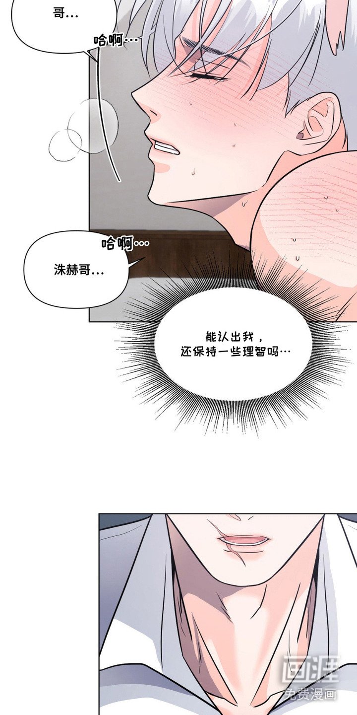 第11章：发热期