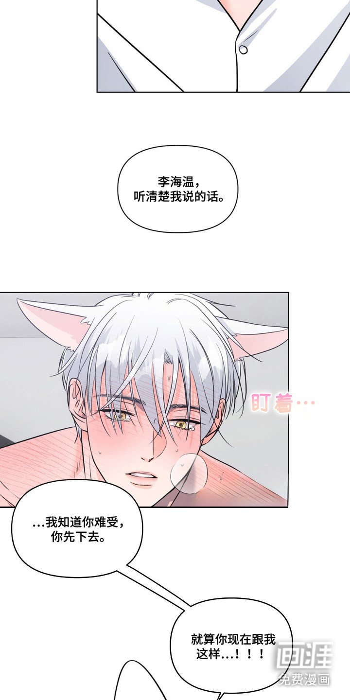 第11章：发热期