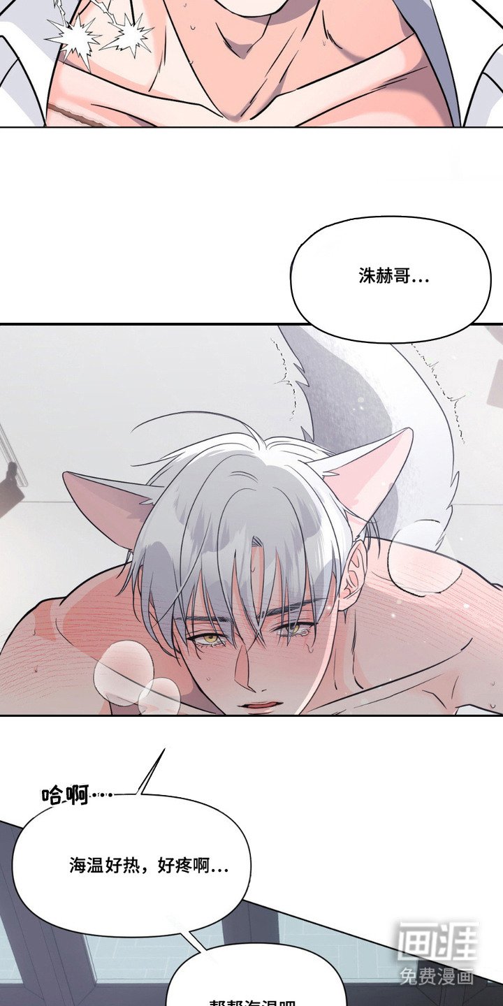 第11章：发热期