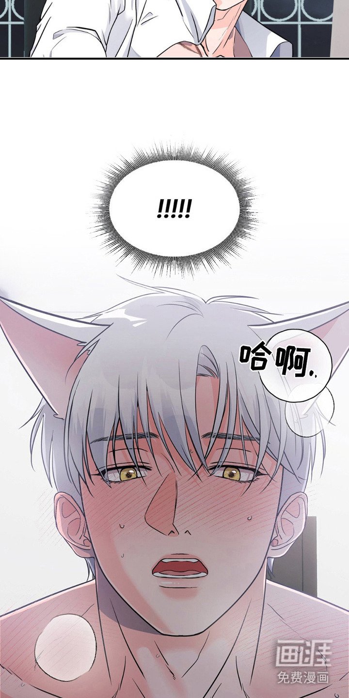 第12章： 不算逾越