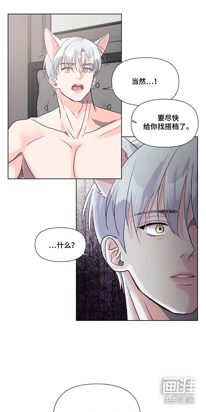 第13章：心意