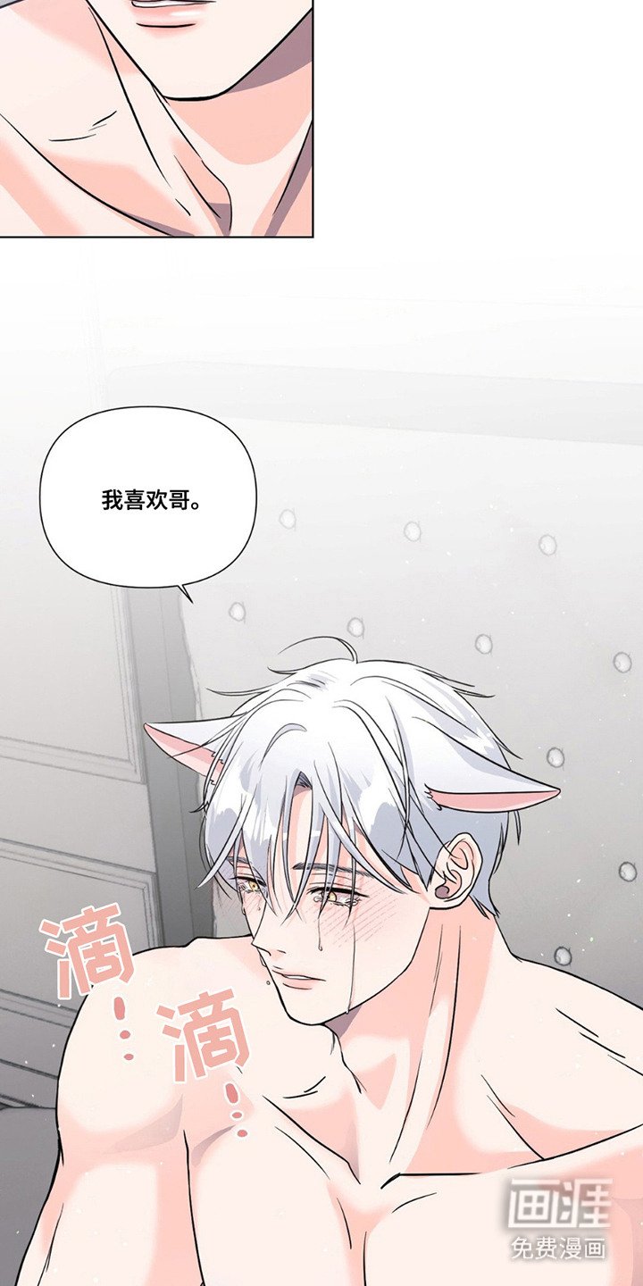 第13章：心意