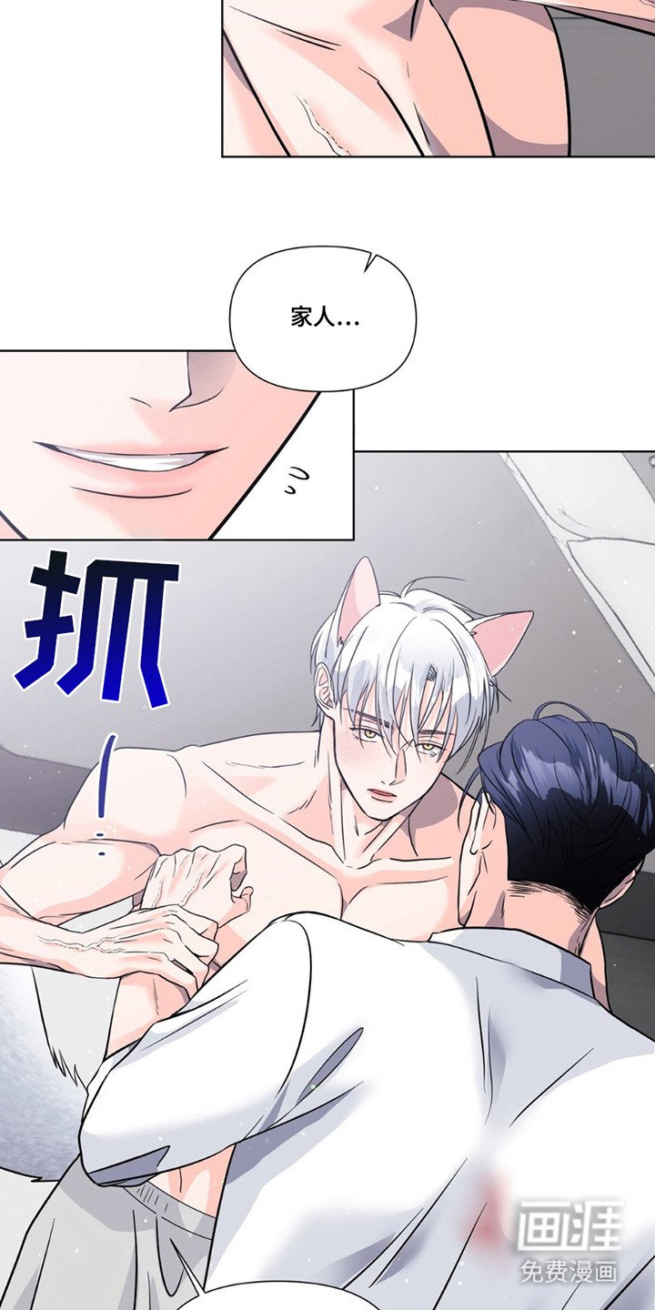 第13章：心意