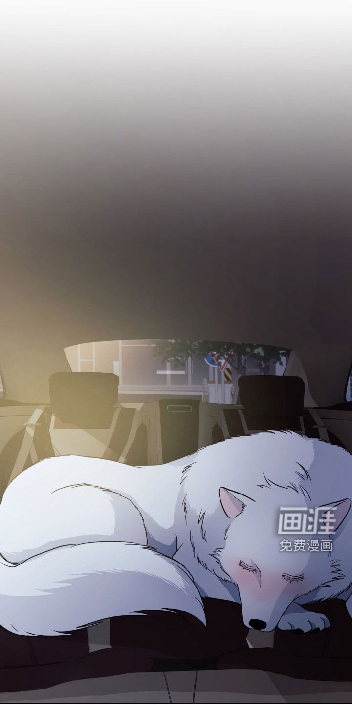 第15章：惹祸精