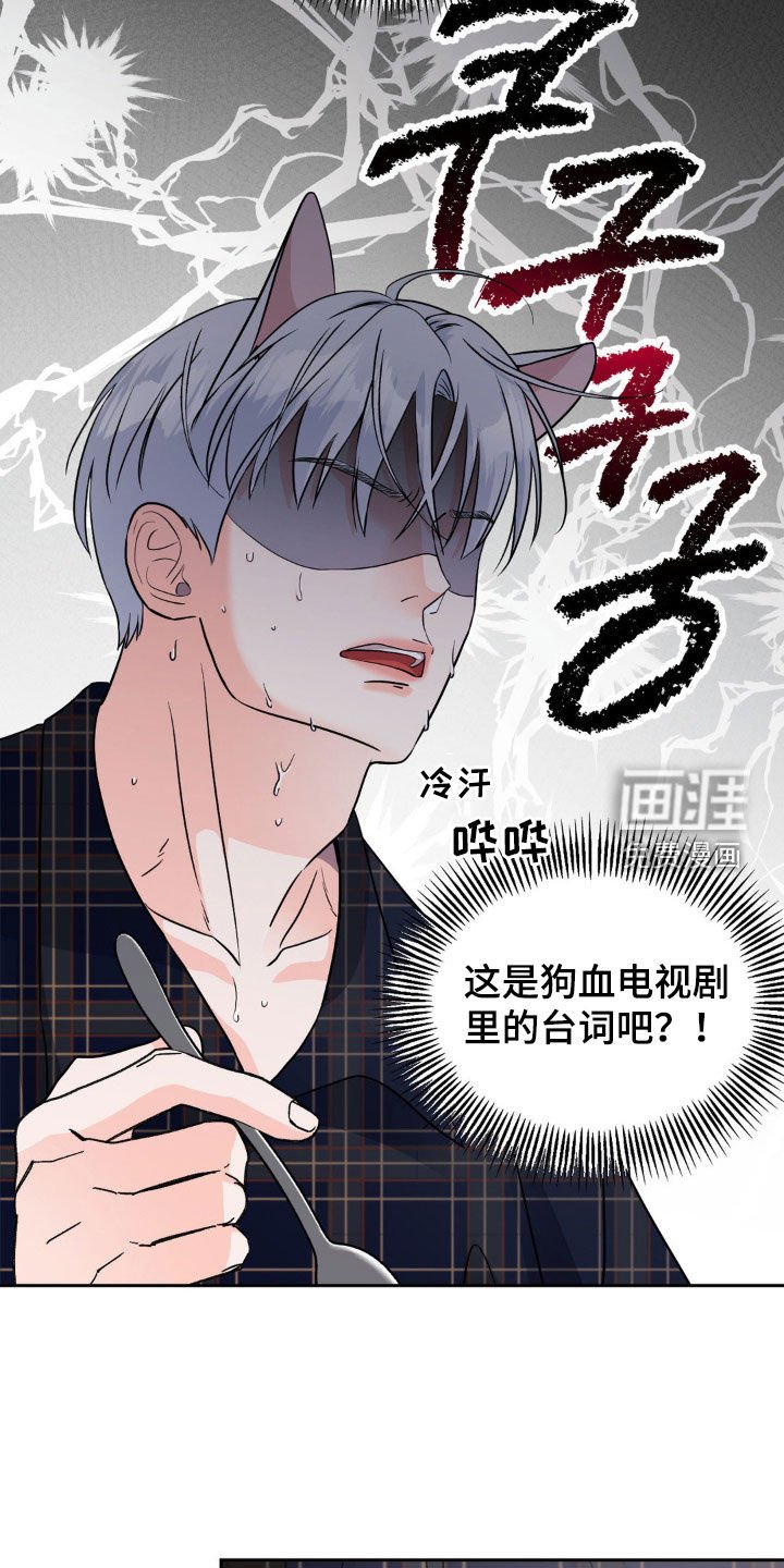 第17章：搭档