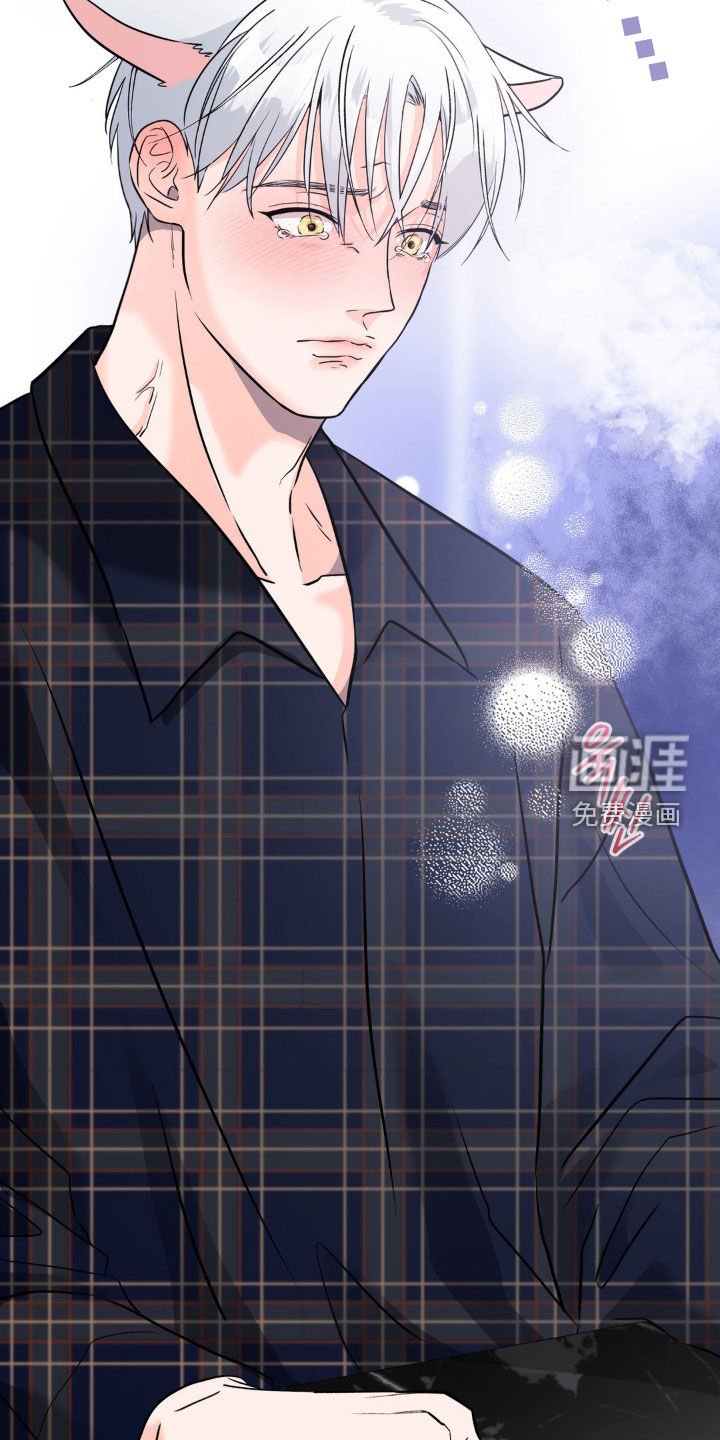 第17章：搭档
