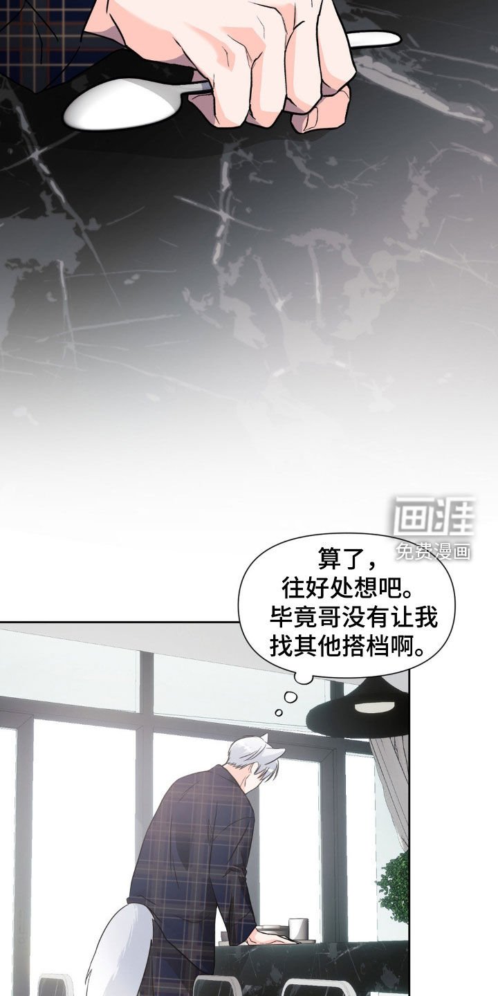 第17章：搭档