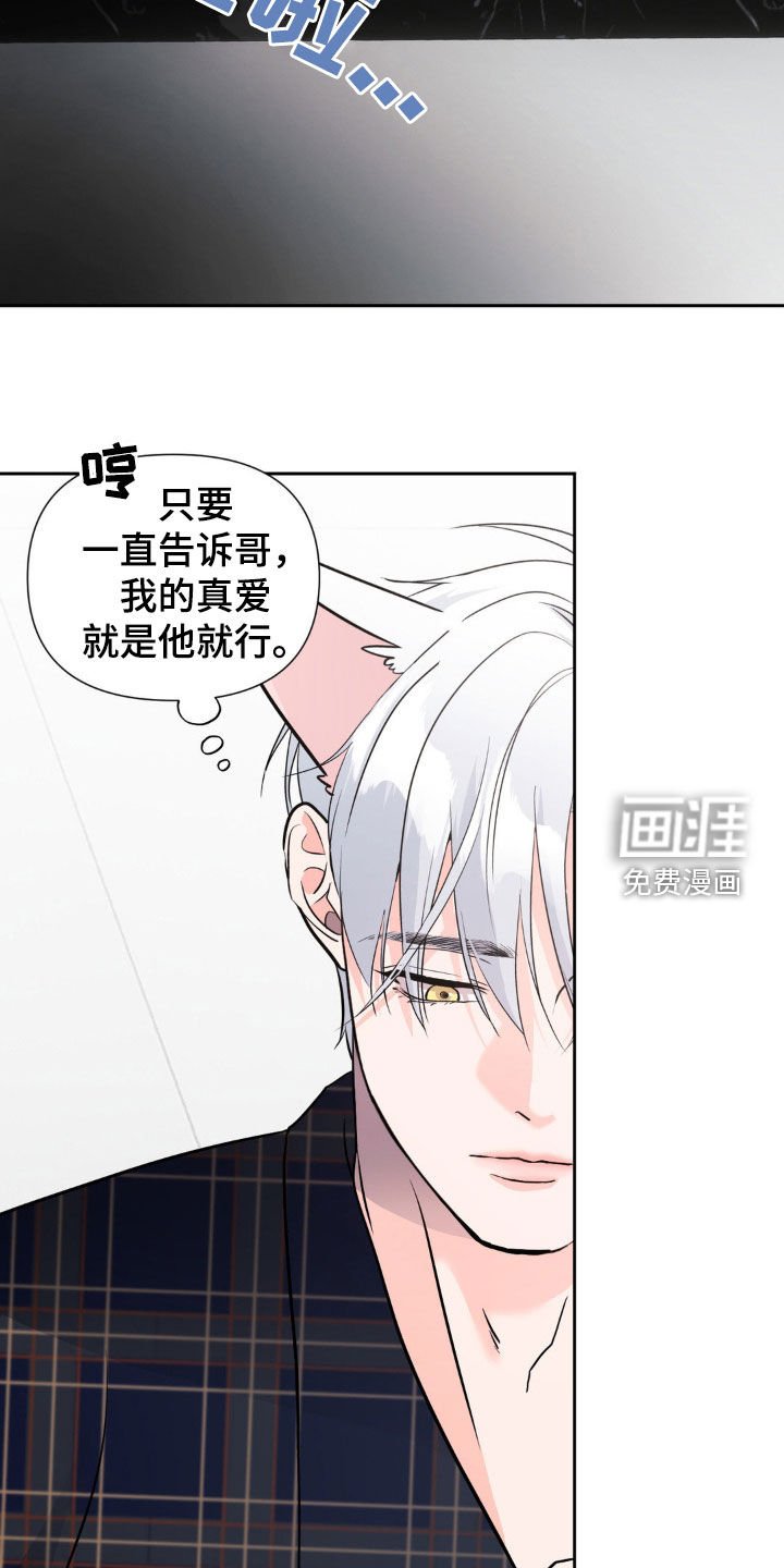第17章：搭档