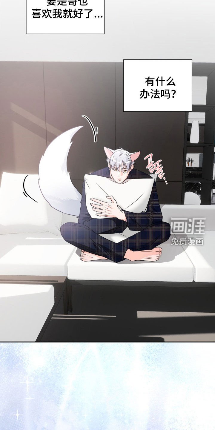 第17章：搭档