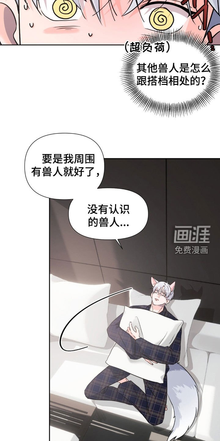 第17章：搭档