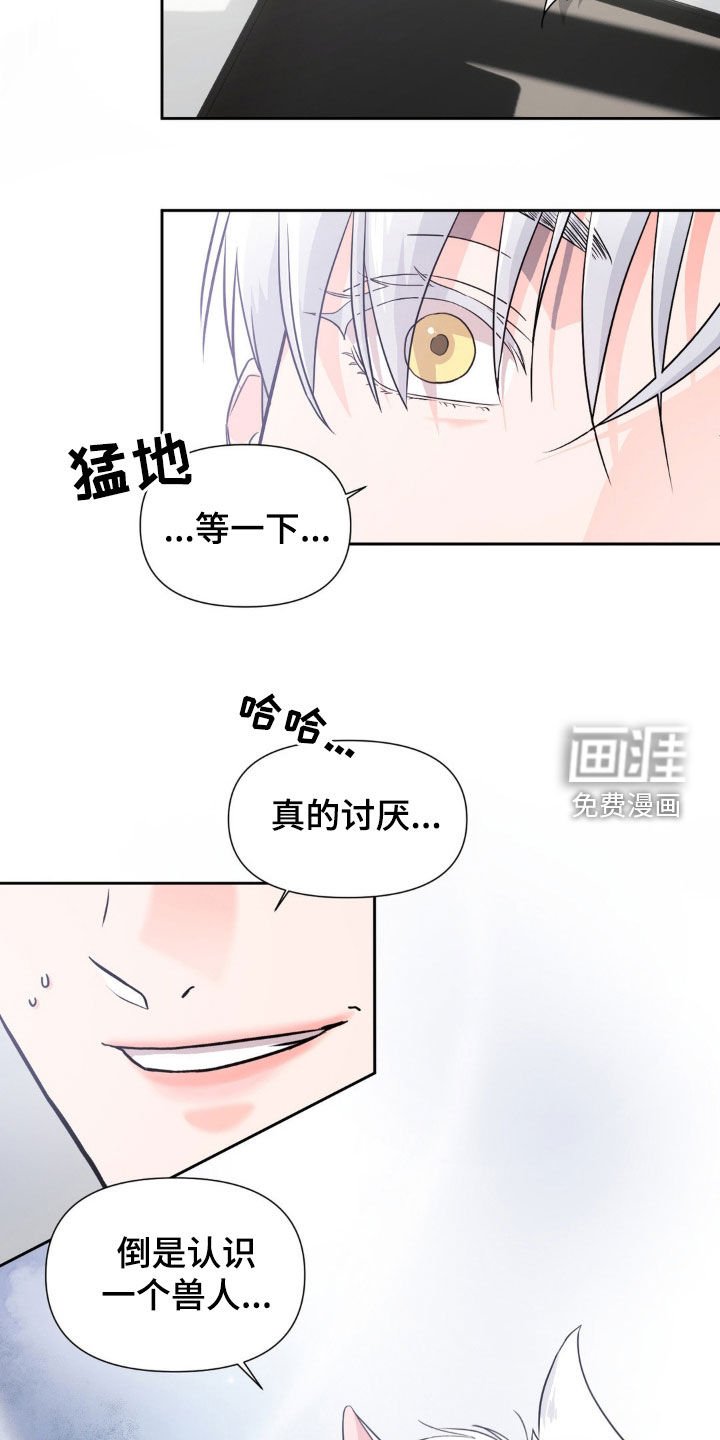 第17章：搭档