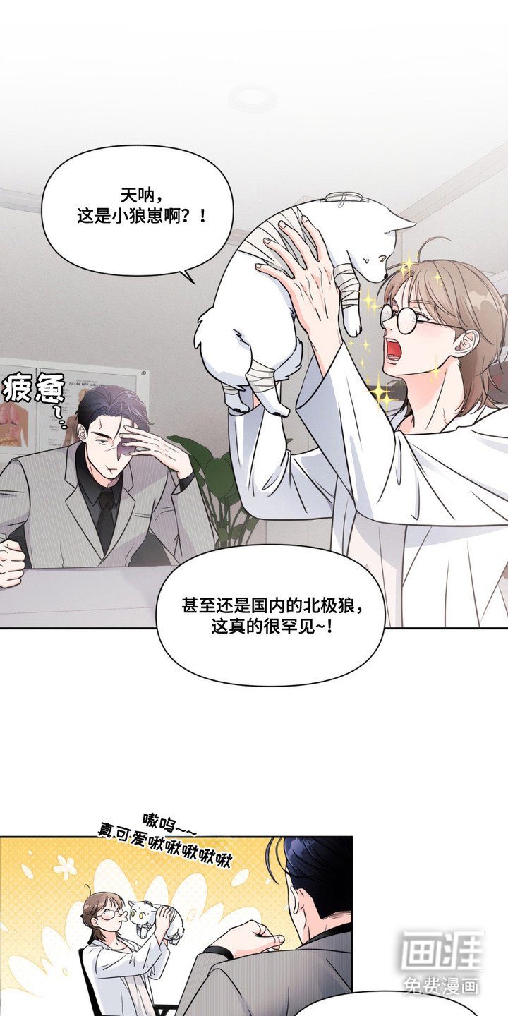 第2章：兽医