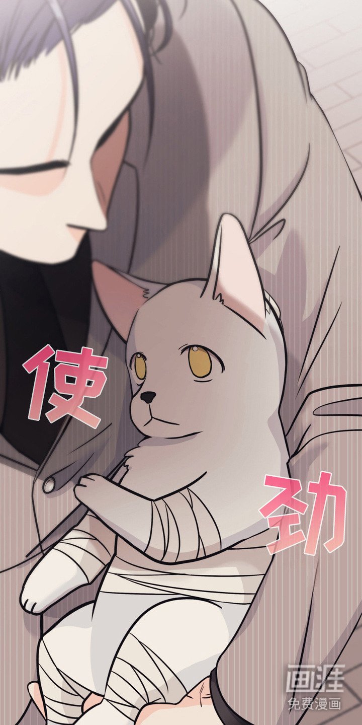 第2章：兽医