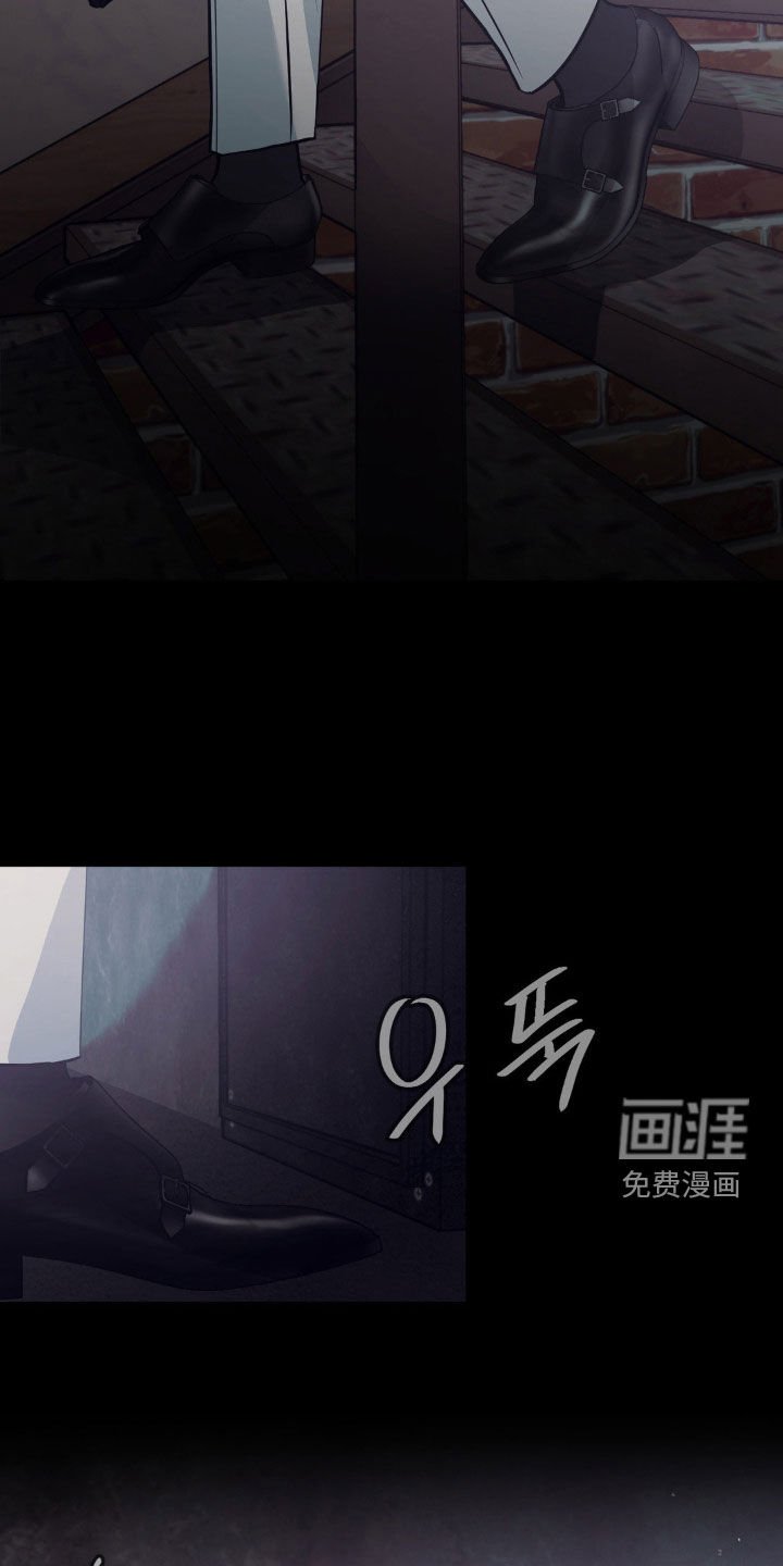 第20章：跟踪者