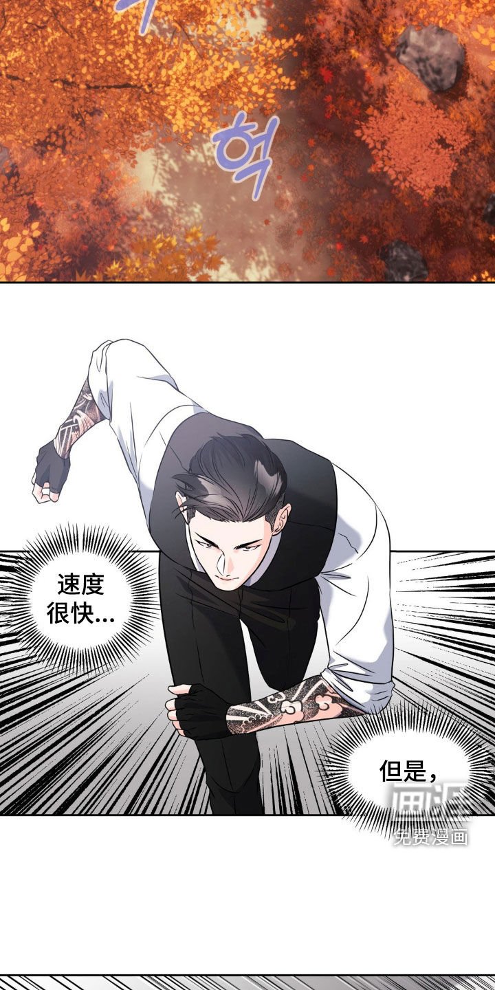 第20章：跟踪者