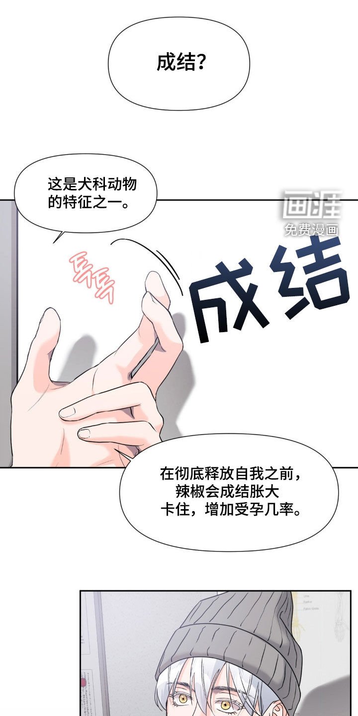 第26章：又迈出了一步
