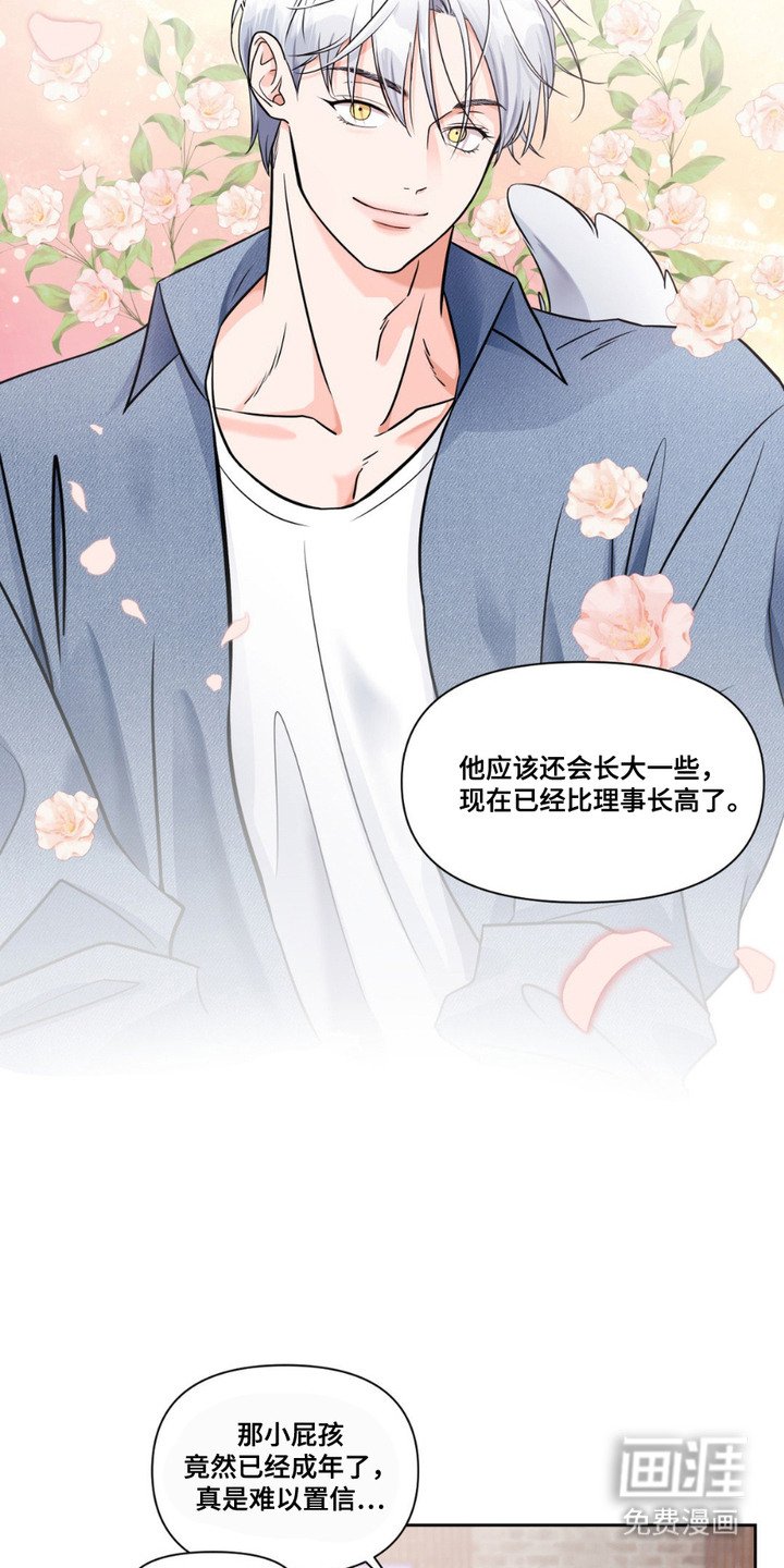 第3章：长得很快