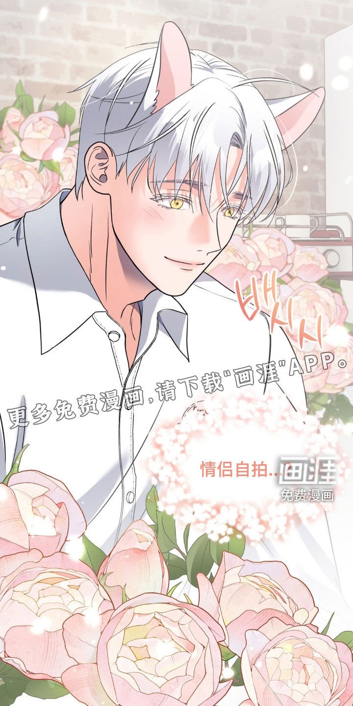 第31章：笑容