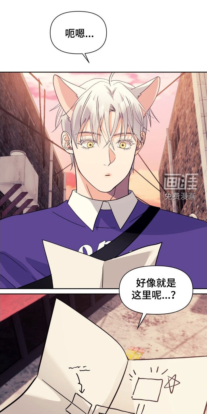 第39章：弱点