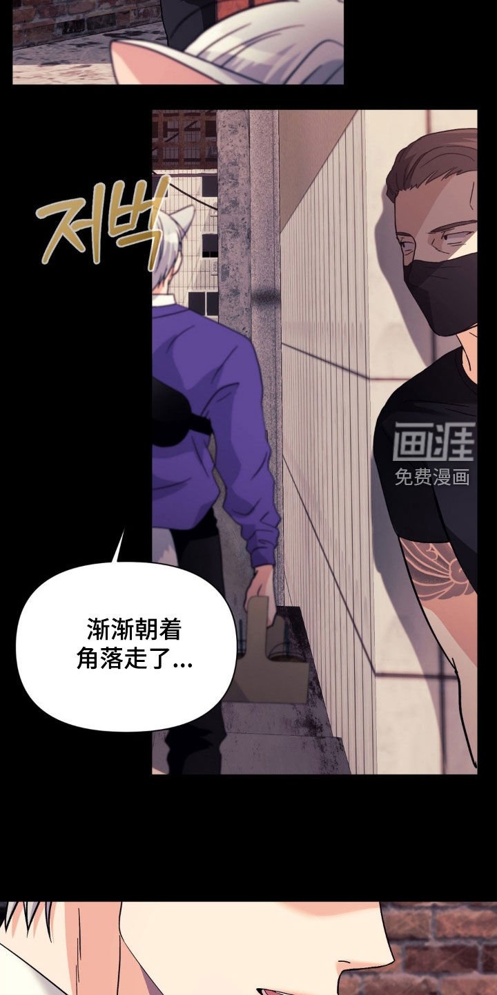 第39章：弱点