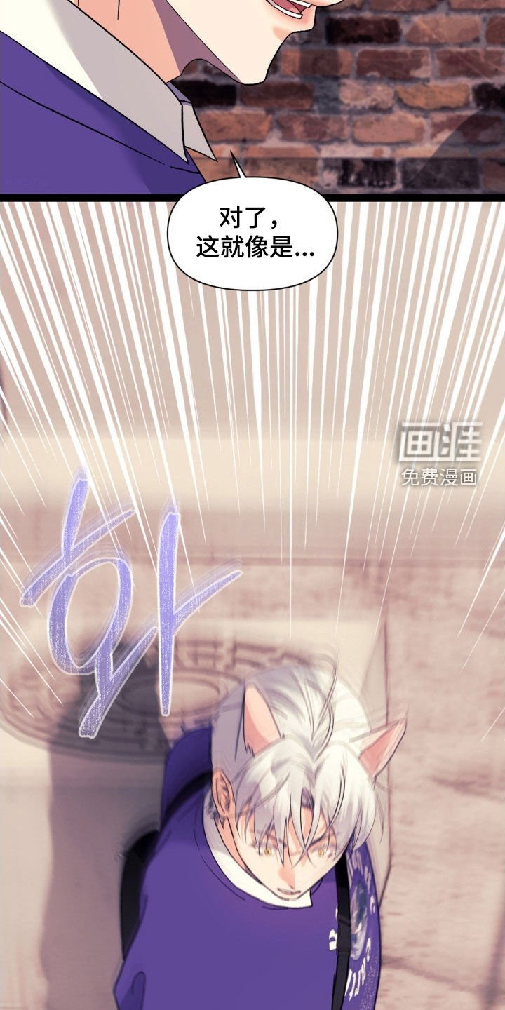 第39章：弱点