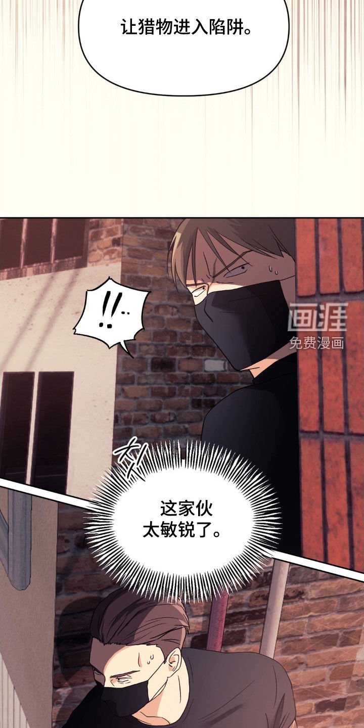 第39章：弱点