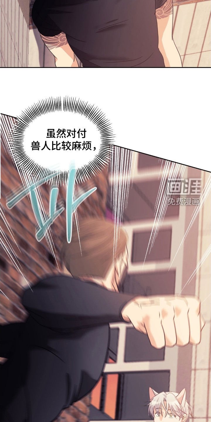 第39章：弱点