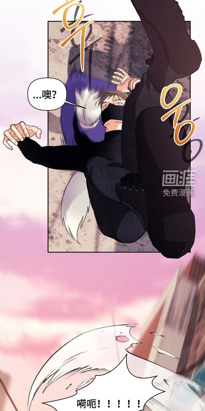 第39章：弱点