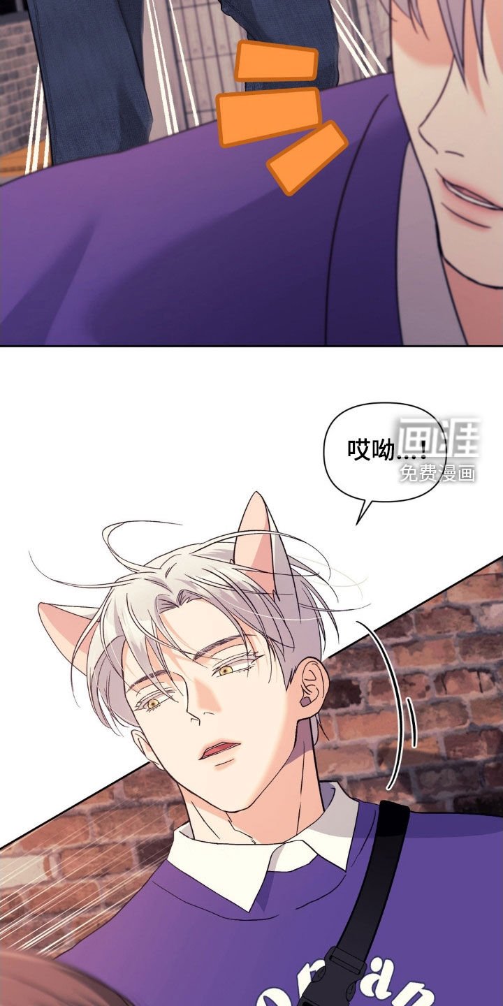 第39章：弱点