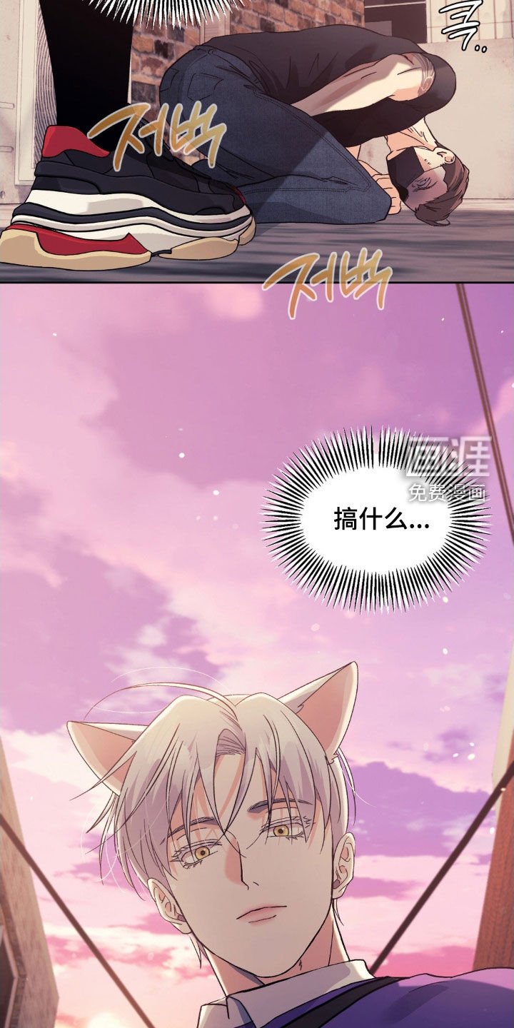 第39章：弱点