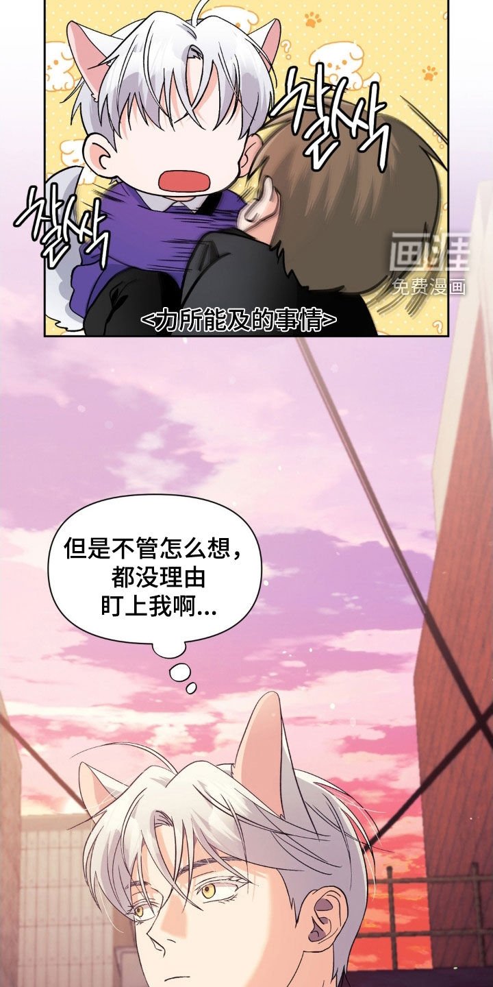 第39章：弱点