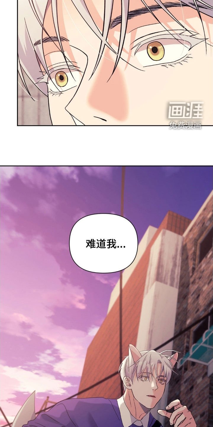 第39章：弱点