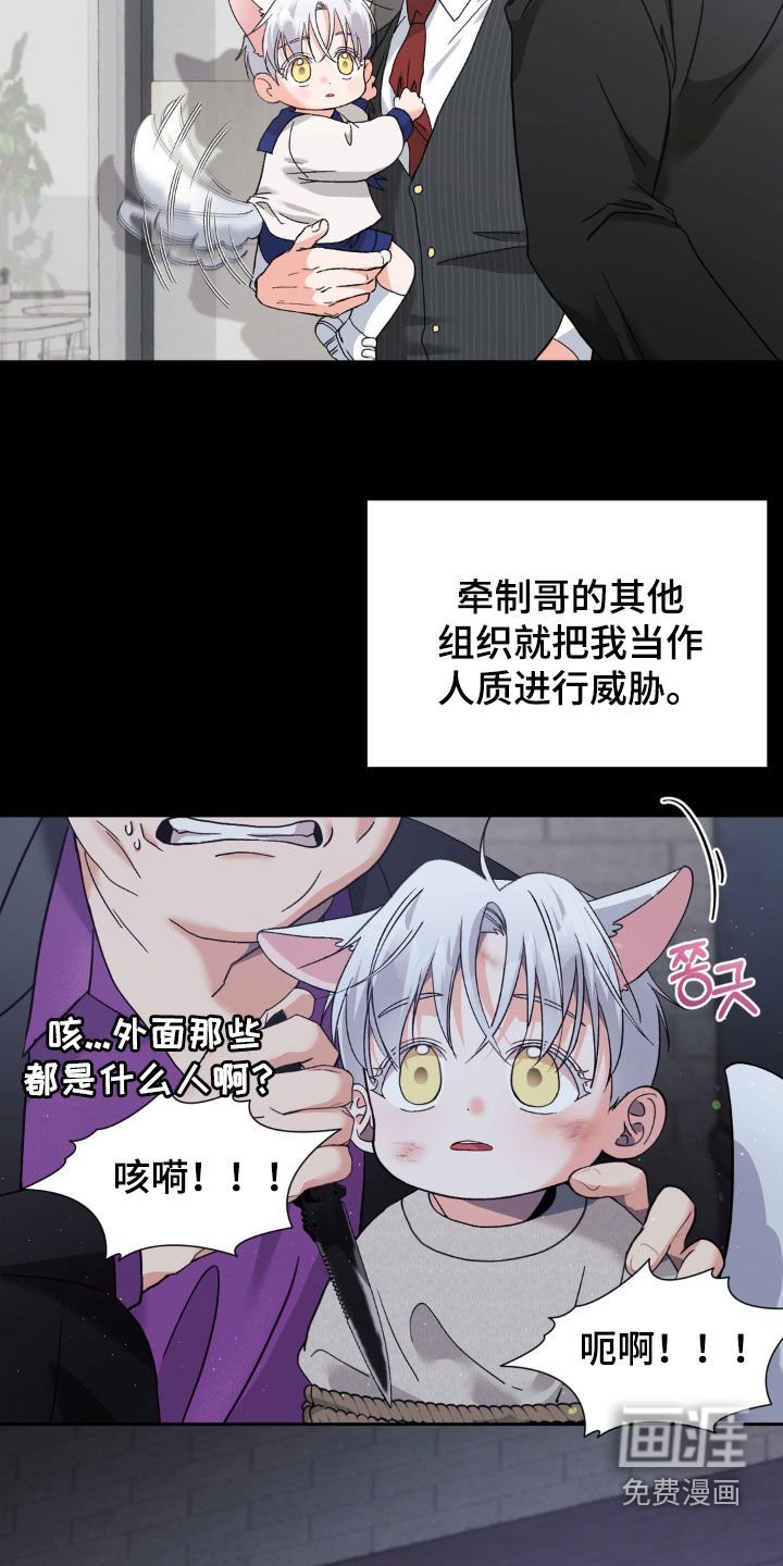 第40章：都怪你