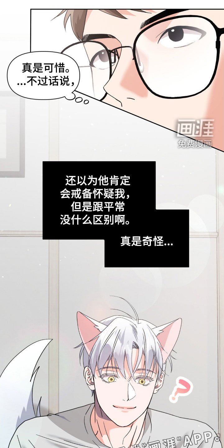 第41章：摄影师