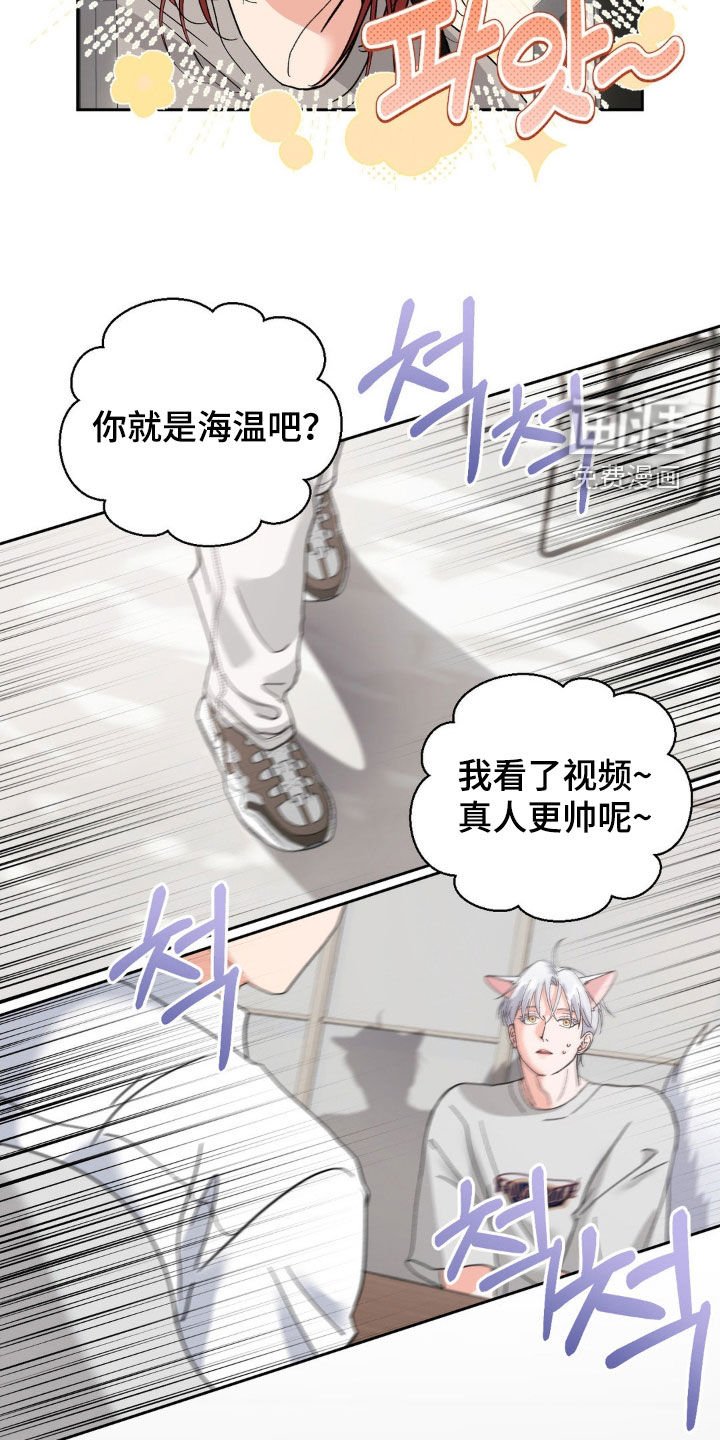 第41章：摄影师