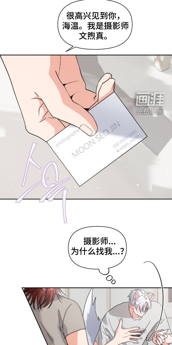 第41章：摄影师