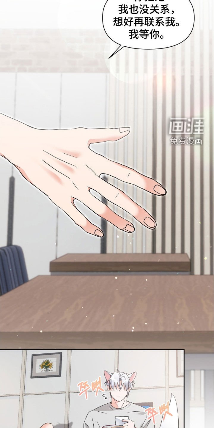第41章：摄影师