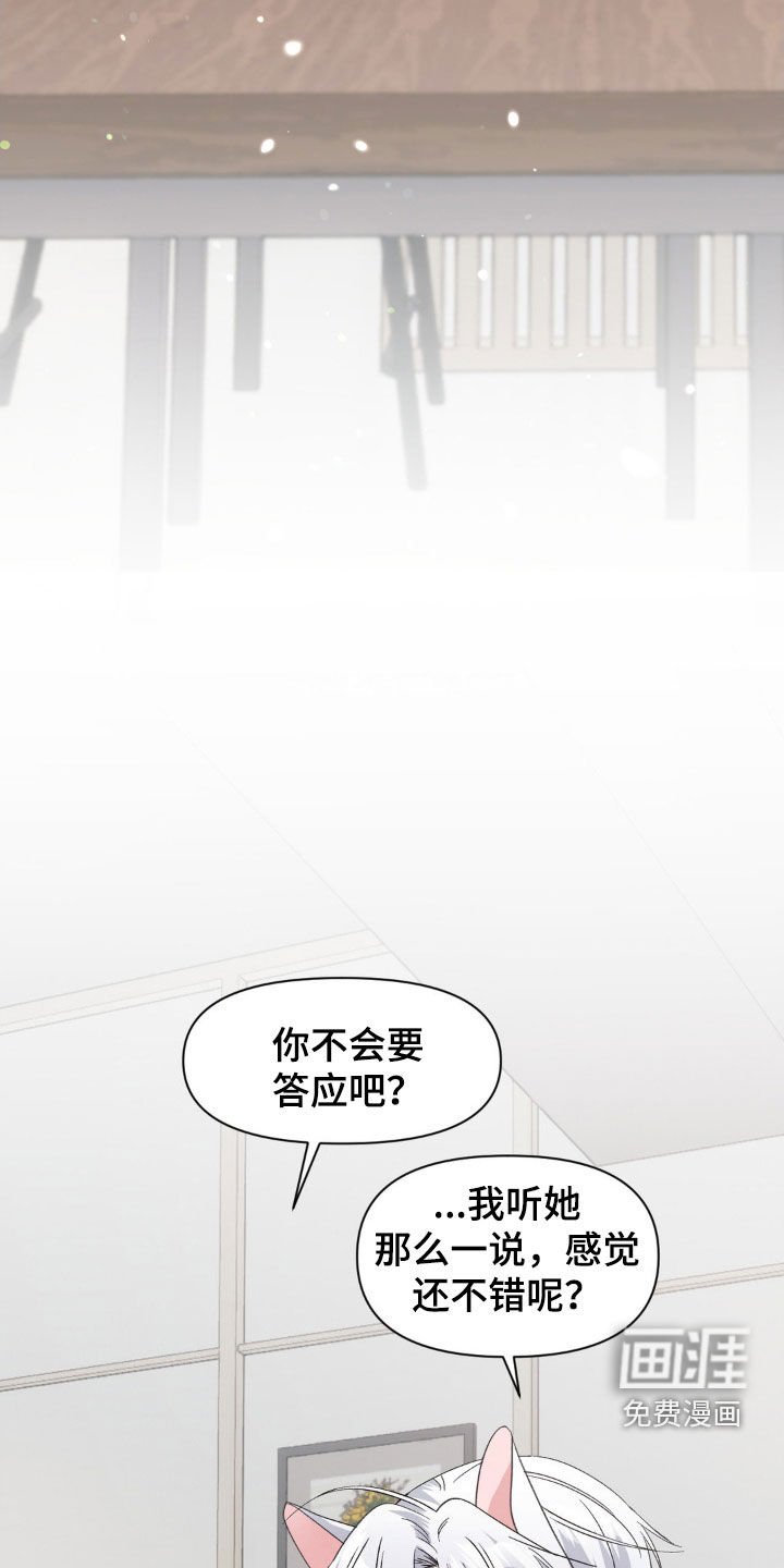 第41章：摄影师