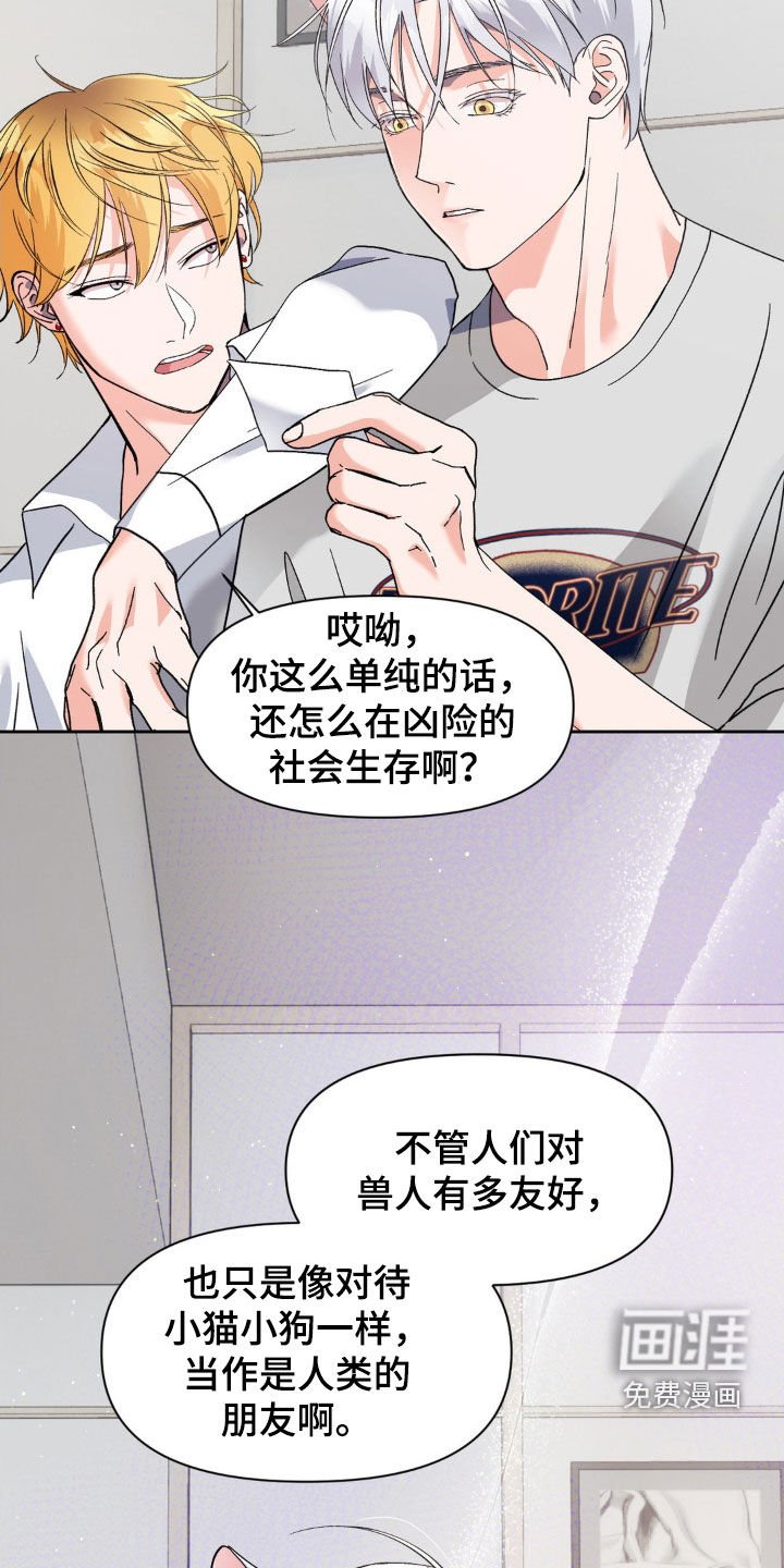 第41章：摄影师