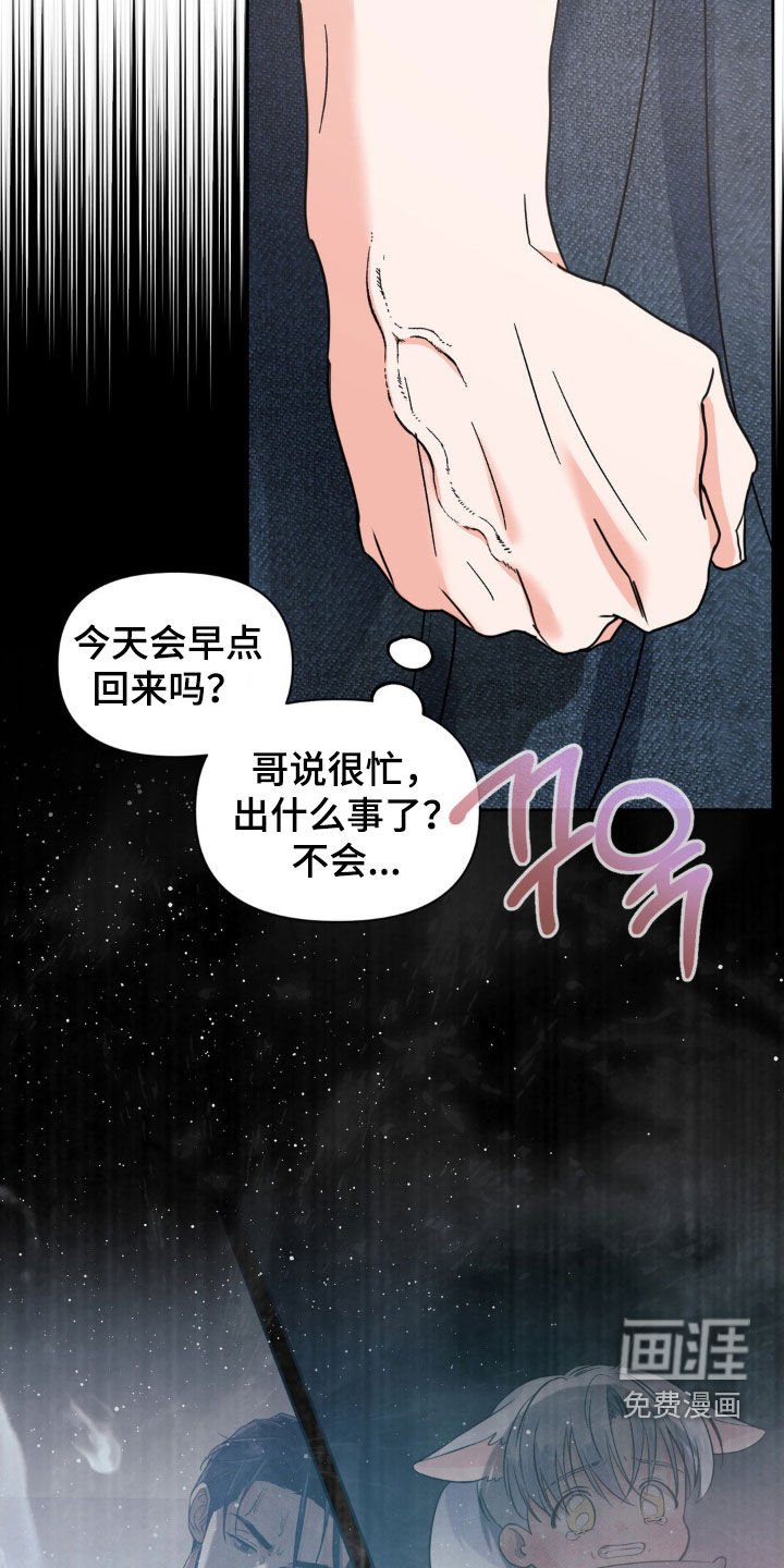 第41章：摄影师