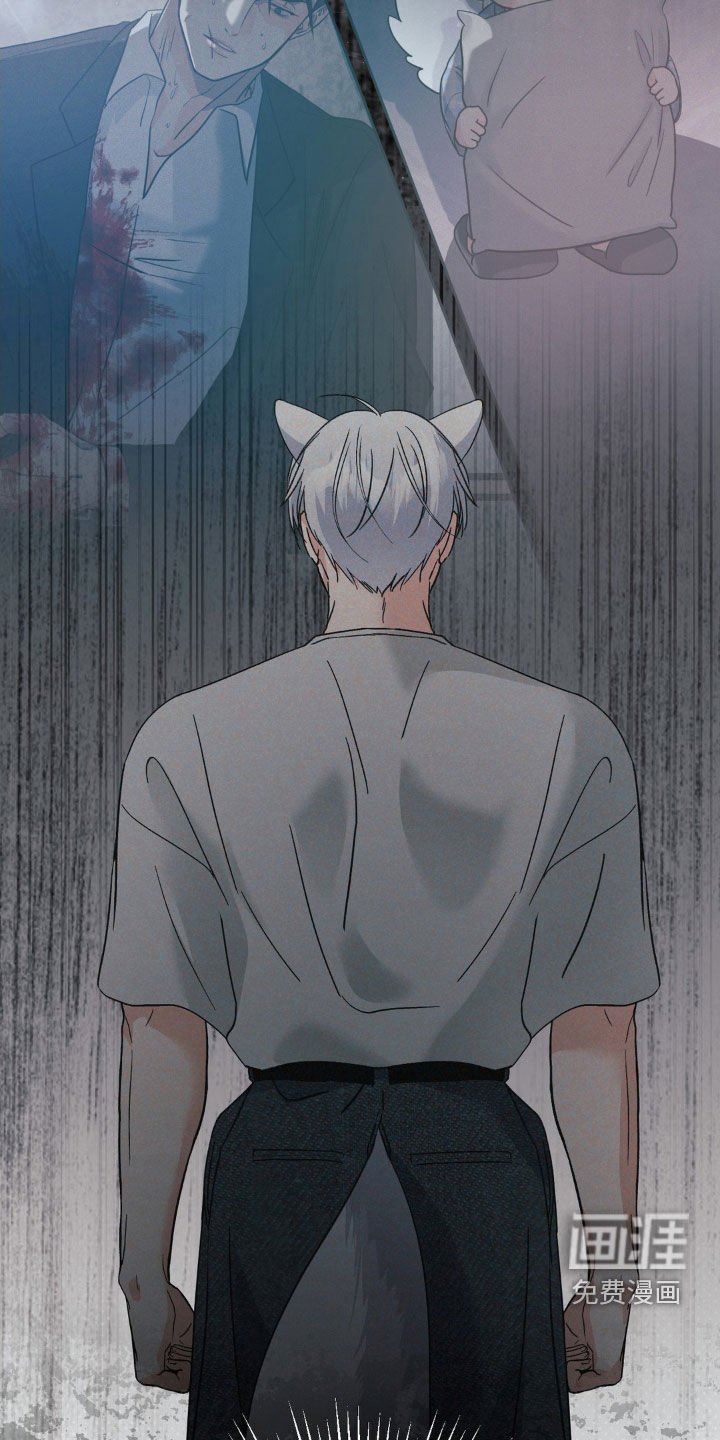第41章：摄影师