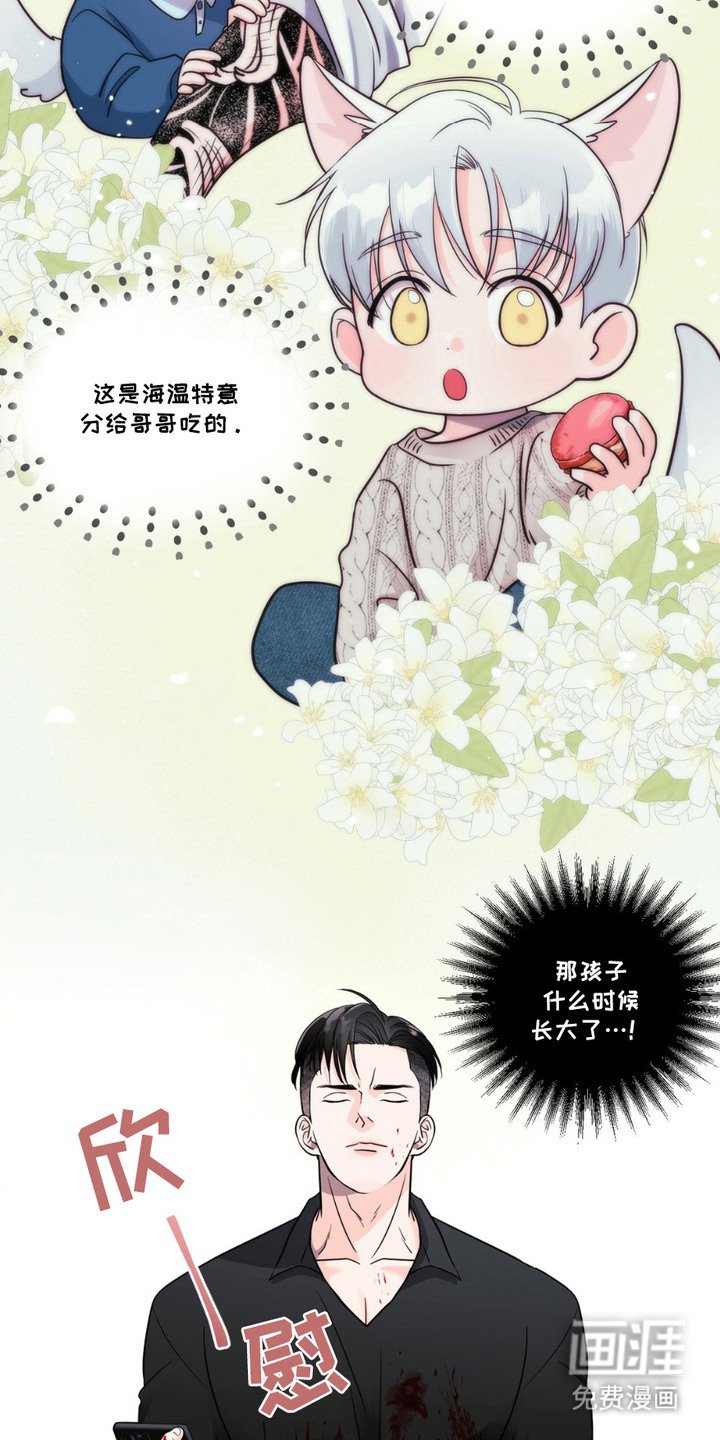 第5章：傻帽二号