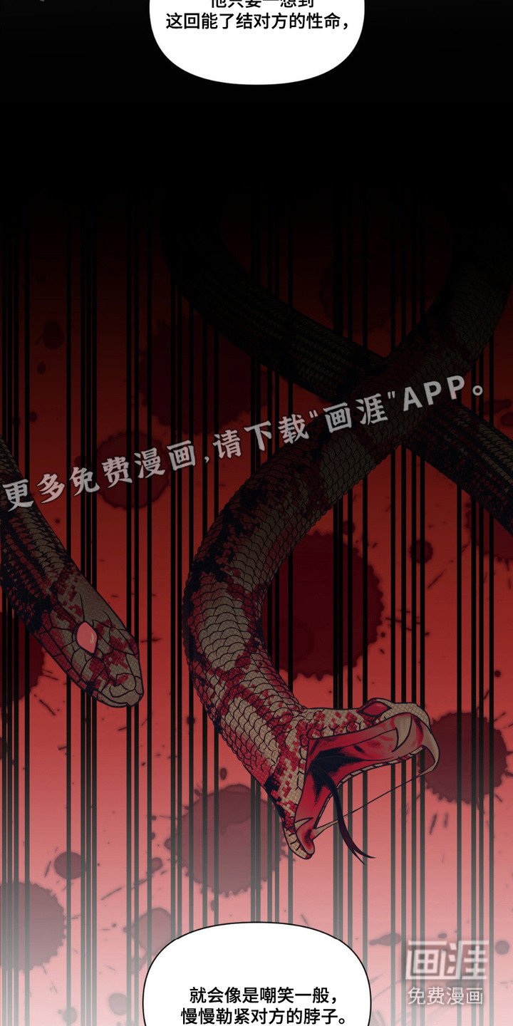 第5章：傻帽二号