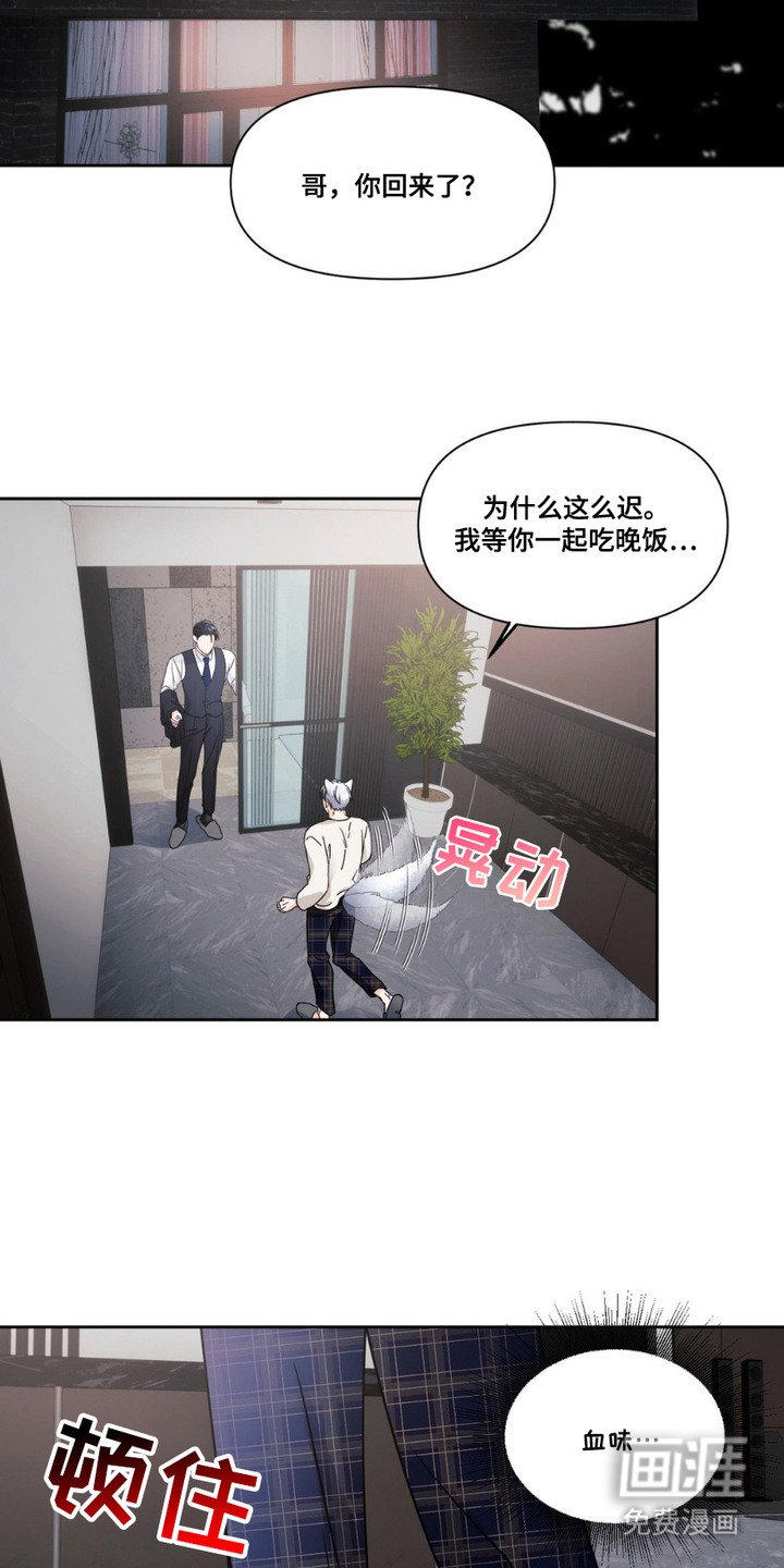 第5章：傻帽二号