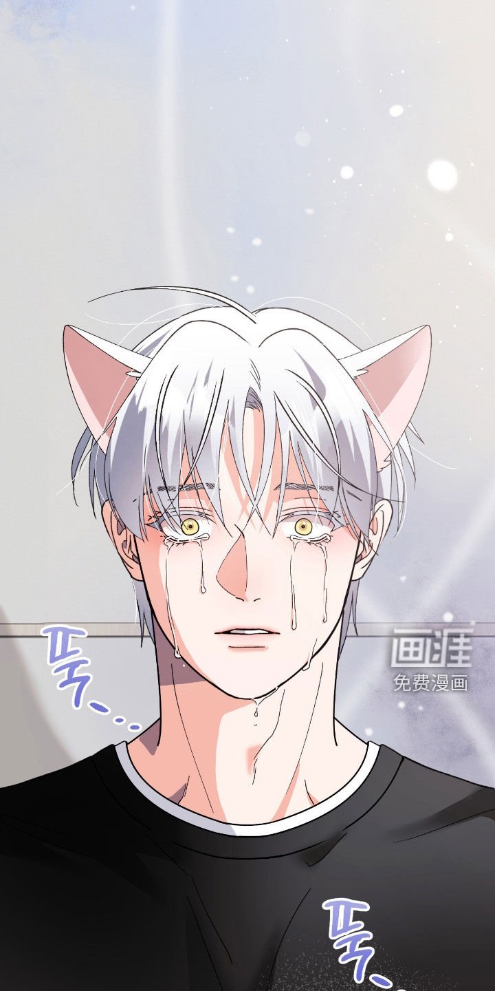 第52章：来迟了一步（第一季完结）
