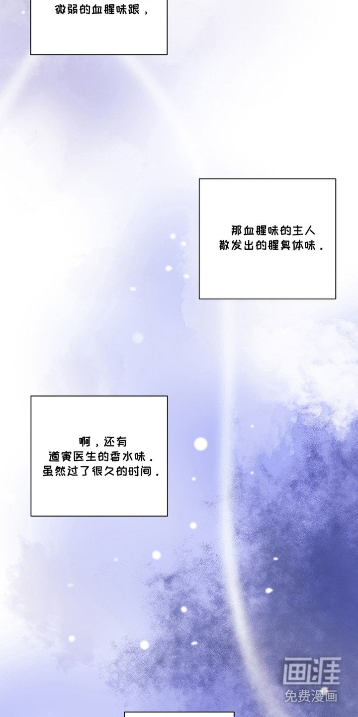 第6章：气味